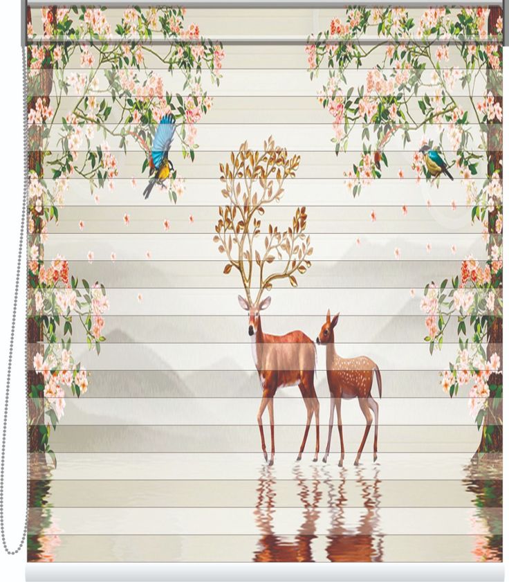 Customize Zebra Blinds Printing Service Provider in Noida_