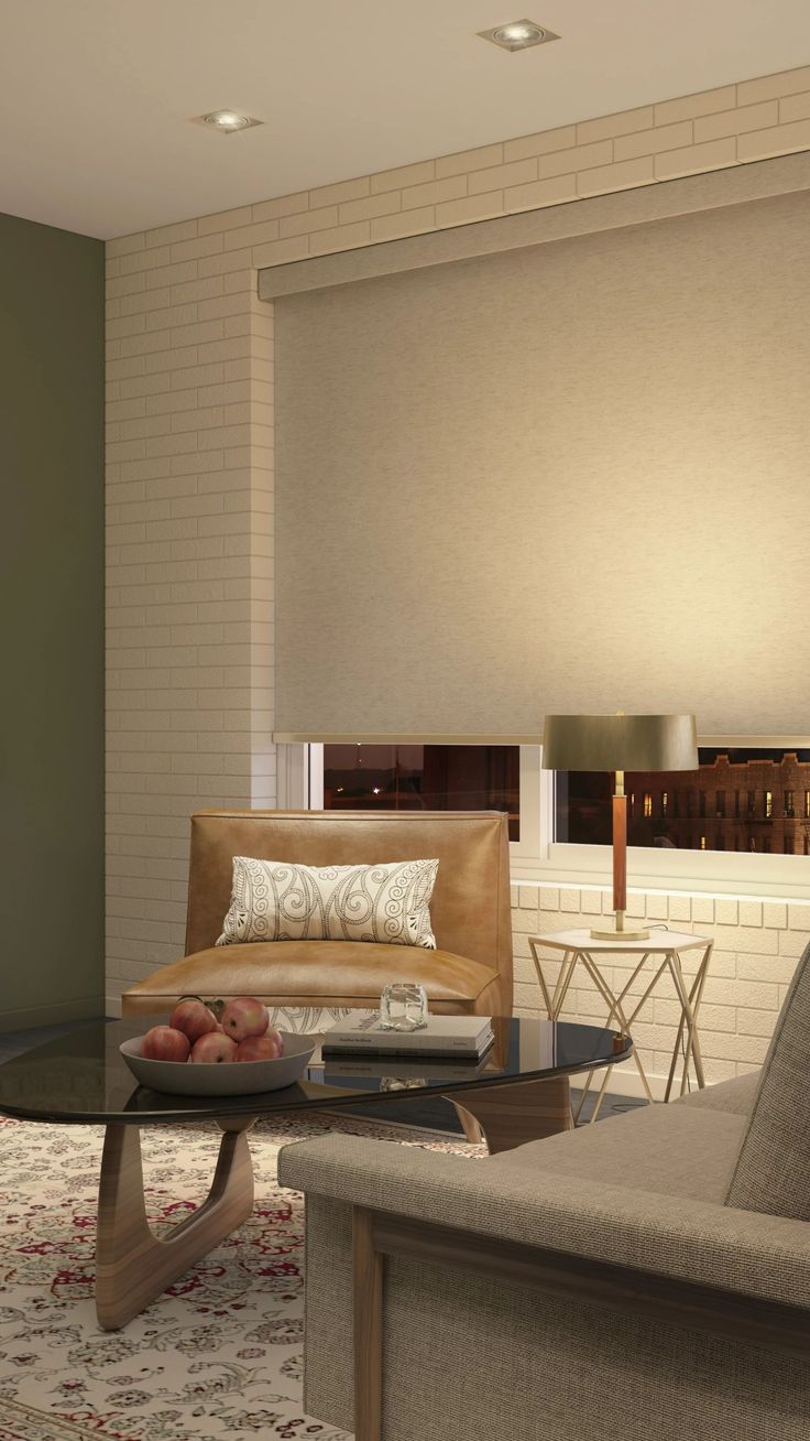 Roller Shades_ Privacy Without Compromise