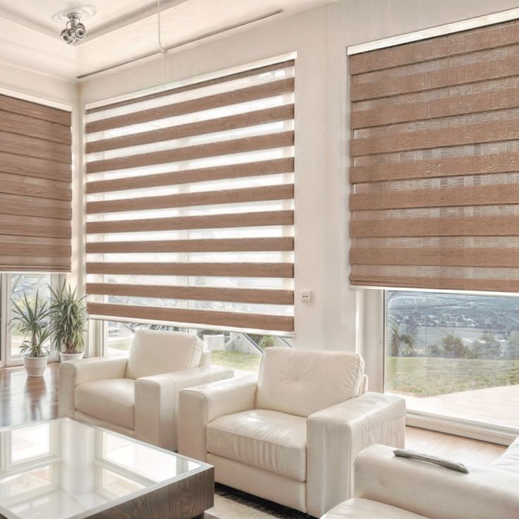 Zebra blinds _ Sheer Dimout Blinds _ Vista Fashions