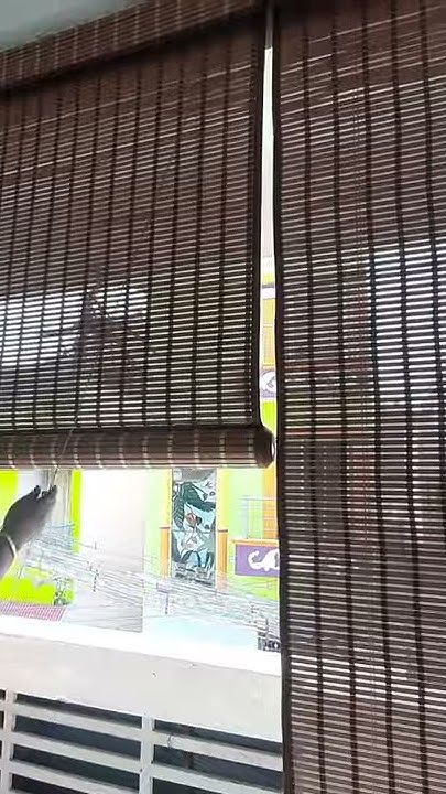 Balcony Pvc Blinds water proof material (1)